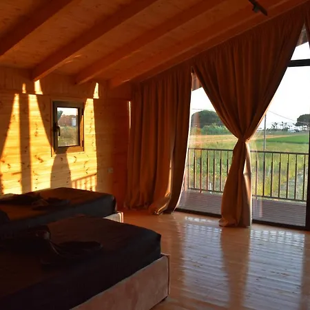 Villa Posh 2 *